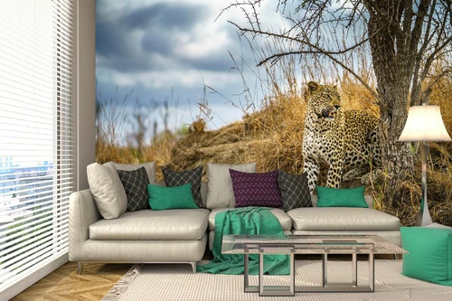 Vlies Fototapete - Wilder Leopard 375 x 250 cm